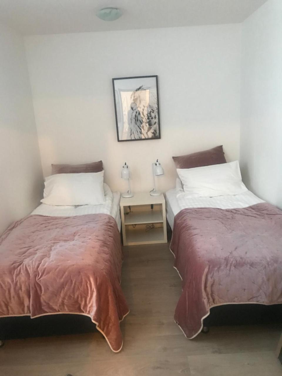 Hôtel 10B Gamla Laeknishusith Hg15108 à Saudarkrokur Extérieur photo